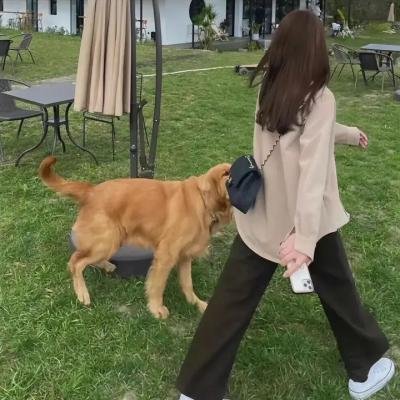 少年历险记